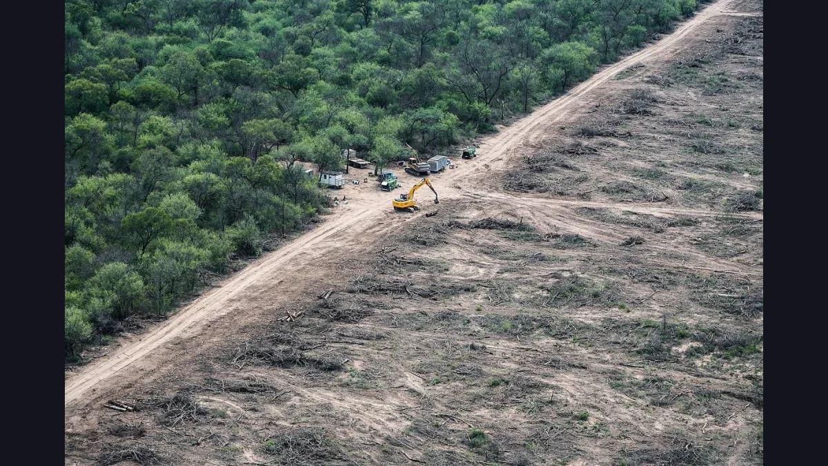 El Senado avanzó con una iniciativa para castigar los delitos ambientales más graves