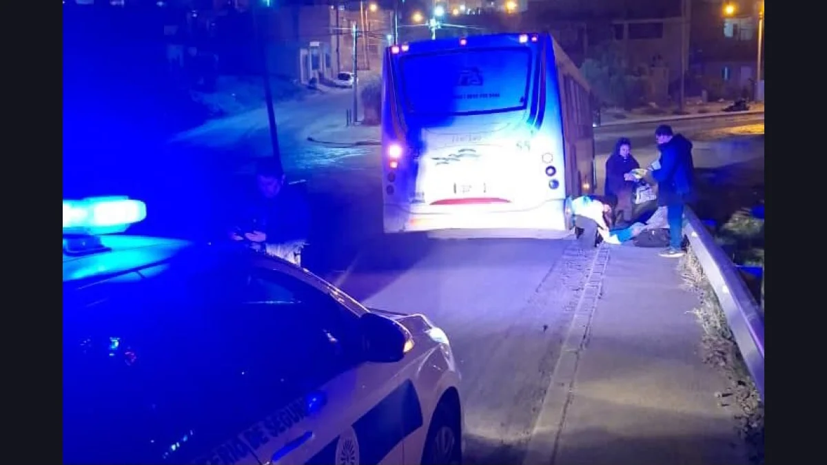 Una mujer fue hospitalizada tras sufrir una caída al bajar de un colectivo en el barrio Moure
